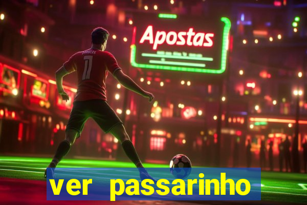 ver passarinho morto significado espiritual